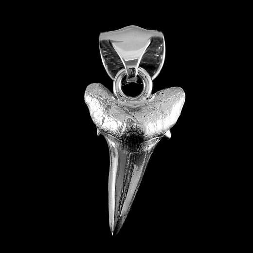 Hai Zahn Anhnger aus 935er Silber