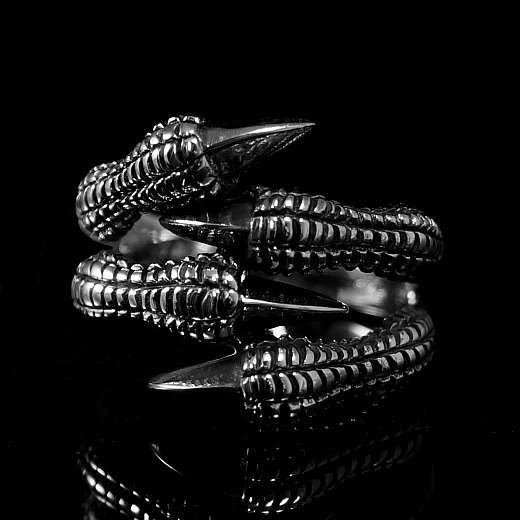 Silber Ring Gothic Schmuck Drachenkralle