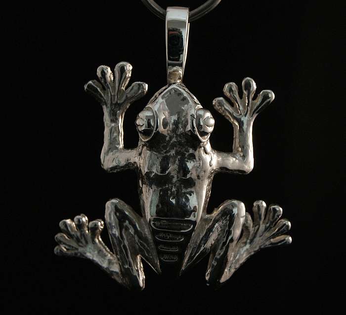 Silberanhnger Frosch Laubfrosch