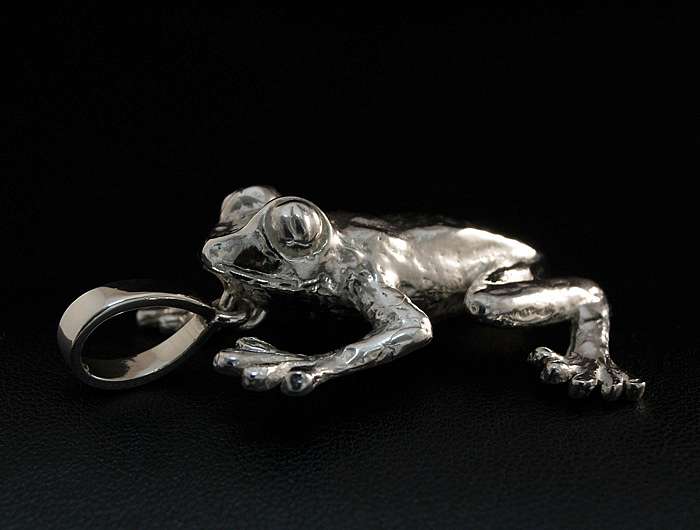 Silberanhnger Frosch Laubfrosch