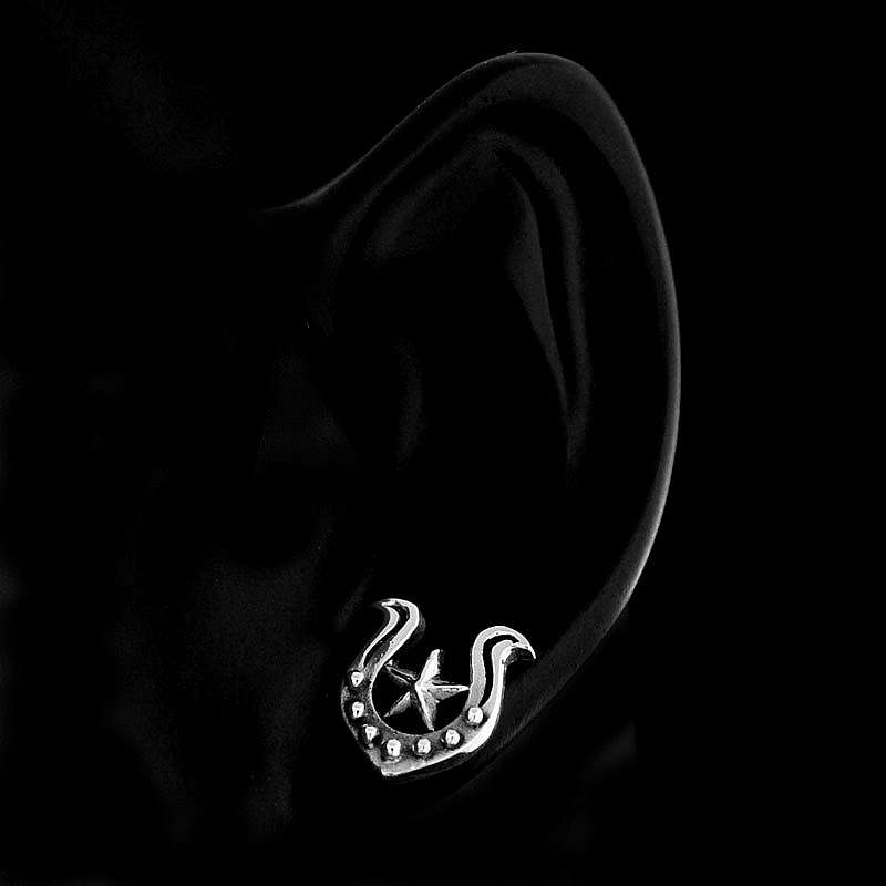 Ohrstecker Silber Hufeisen mit Stern aus Ag 925 Sterling Silber